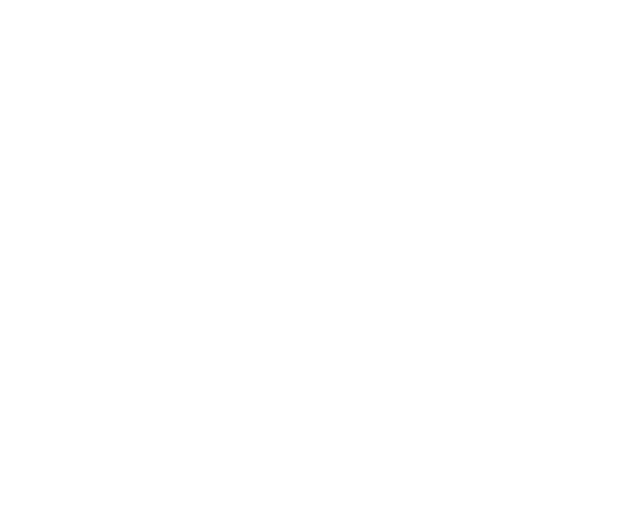 Natasha Geldenhuys Photography logo